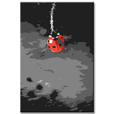 Painting by Numbers Jumping Dolphin Shipping from DE